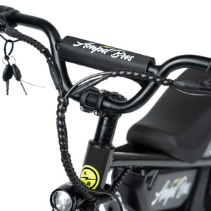 LIL RIPPA 16" KIDS ELECTRIC BIKE