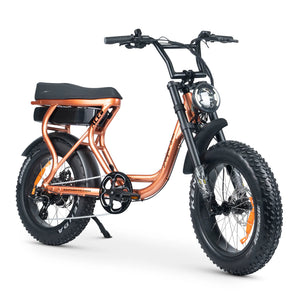 AMPD Brothers ACE-S Plus+ Electric Bike