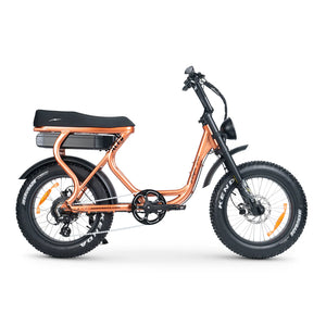 AMPD Brothers ACE-S Plus+ Electric Bike