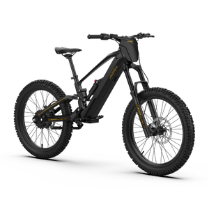 EVO Racing 24" PRO Electric Bike