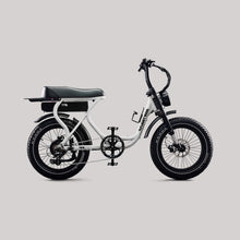 Load image into Gallery viewer, Flight Risk FR303
