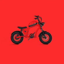 Load image into Gallery viewer, Flight Risk FR606
