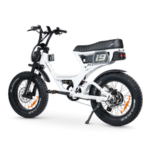 Load image into Gallery viewer, ACE-S PRO Electric Bike Series 5
