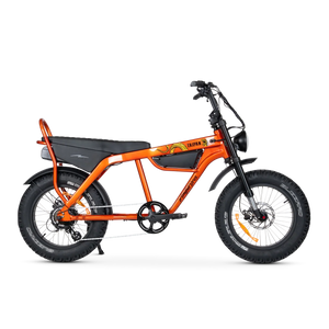 Ampd Bros - Taipan Electric Bike