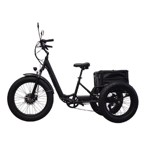 Kristall EX200 E-Trike 48V20AH – Power, Stability, and Maximum Cargo Capacity