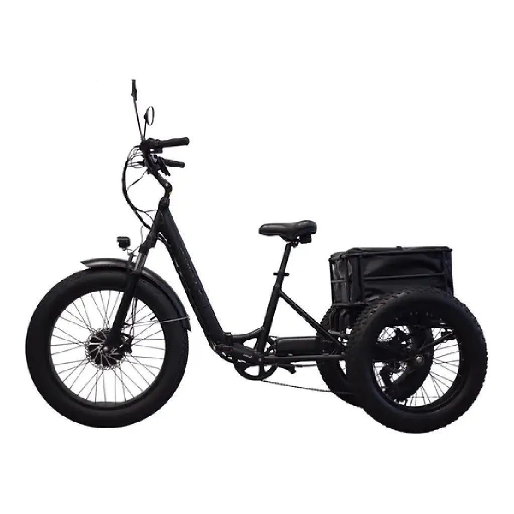 Kristall EX200 E-Trike 48V20AH – Power, Stability, and Maximum Cargo Capacity