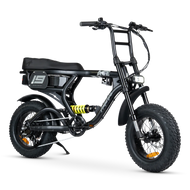 ACE-X Mini PRO Electric Bike