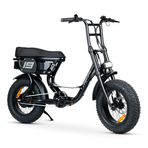 ACE-S Mini Electric Bike