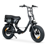 ACE-S Mini Electric Bike