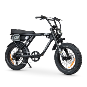ACE-X Adventure Electric Bike Series 5