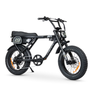 ACE-X Adventure Electric Bike Series 5