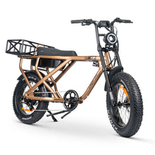 Load image into Gallery viewer, AMPD Brothers ACE-X Cargo MAX Electric Bike
