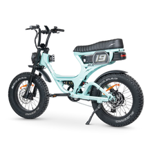 Load image into Gallery viewer, ACE-S PRO Electric Bike Series 5
