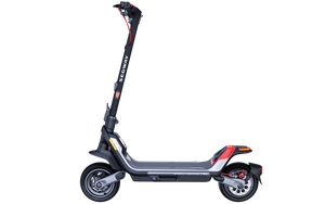 Segway Ninebot KickScooter E Scooter Model P100SE