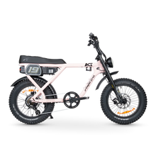 Load image into Gallery viewer, ACE-X Adventure Electric Bike Series 5
