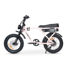 Load image into Gallery viewer, ACE-X Adventure Electric Bike Series 5
