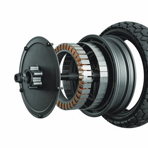 Segway Ninebot ZT3 Pro D