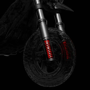 Segway Ninebot ZT3 Pro D