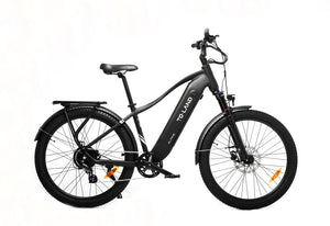 TOLAND ALPINE ELECTRIC BIKE