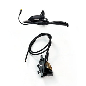 V3 Rear Brake Assembly