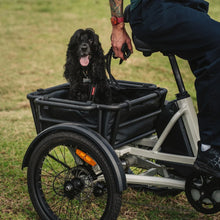 Load image into Gallery viewer, Vamos Trio – 3 Wheel Electric Trike
