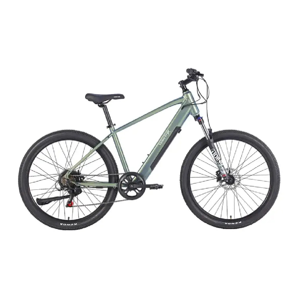 VelectriX Ascent 27.5