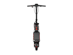 Segway Ninebot ZT3 Pro D