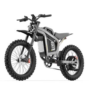 COSWHEEL R19 Electric Dirt Bike