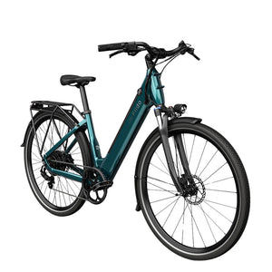Fiido C11 Electric Bike