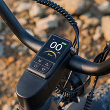 Load image into Gallery viewer, Fiido Titan Electric Cargo Bike
