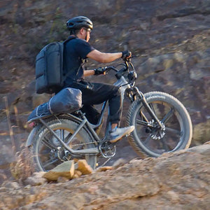 Fiido Titan Electric Cargo Bike