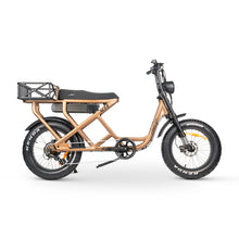 Load image into Gallery viewer, ACE-S Cargo MAX Electric Bike
