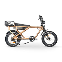 Load image into Gallery viewer, AMPD Brothers ACE-X Cargo MAX Electric Bike
