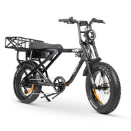 AMPD Brothers ACE-X Cargo MAX Electric Bike