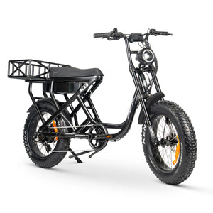 ACE-S Cargo MAX Electric Bike