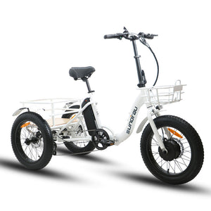 Eunorau Trike - eTrike Electric Bike - 500W Motor