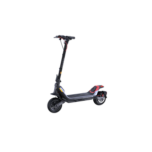 Segway Ninebot KickScooter E Scooter Model P100SE