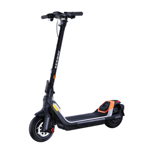 Segway Ninebot KickScooter P65A