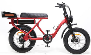 DiroDi Rover Standard Plus Gen 6 Electric Bike | Versatile Fat Tyre E ...
