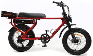 DiroDi Rover Standard & Plus Gen 6