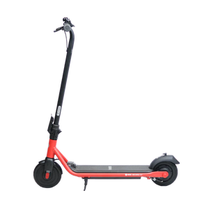 Segway Ninebot eKickScooter ZING C20