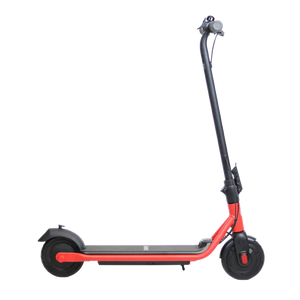 Segway Ninebot eKickScooter ZING C20