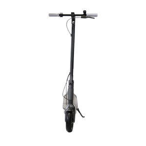 Segway Ninebot G65 Electric Scooter