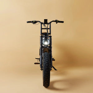 CRUZR SWELL Electric Bike