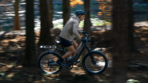 Segway Xafari Trekking E-bike