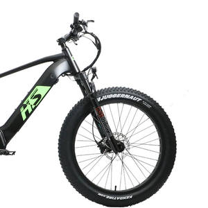 Eunorau Electric Mountain Bike 1000W Motor FAT-HS Dual Battery Fat Tyre E-MTB