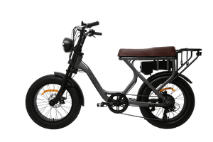 DiroDi Rover Vintage Style Modern Electric Bike 750W Gen 4 E-Bike