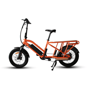 Eunorau G30-Cargo Electric Bike