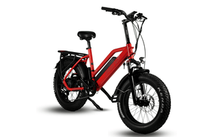 E-MONO FAT TIRE bike SE-SE-20BM02