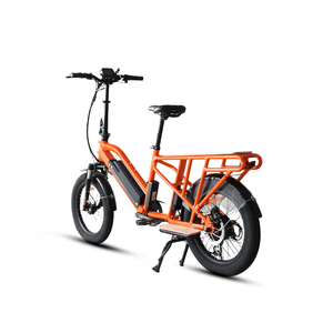 Eunorau G30 Cargo Electric Bike